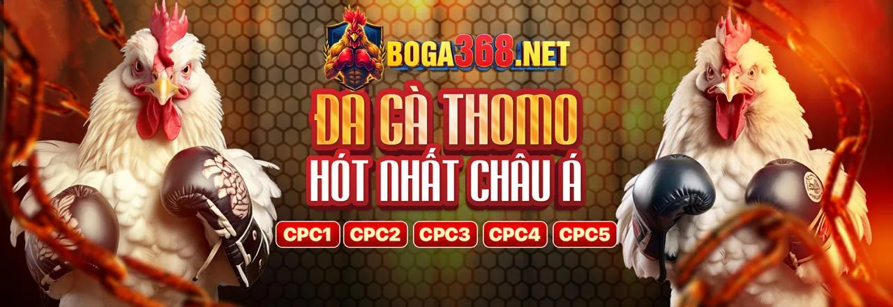 Đá Gà Trực Tuyến oxbet nhà cái