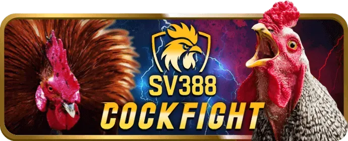 Văn hóa làm việc và đội ngũ oxbet nhà cái